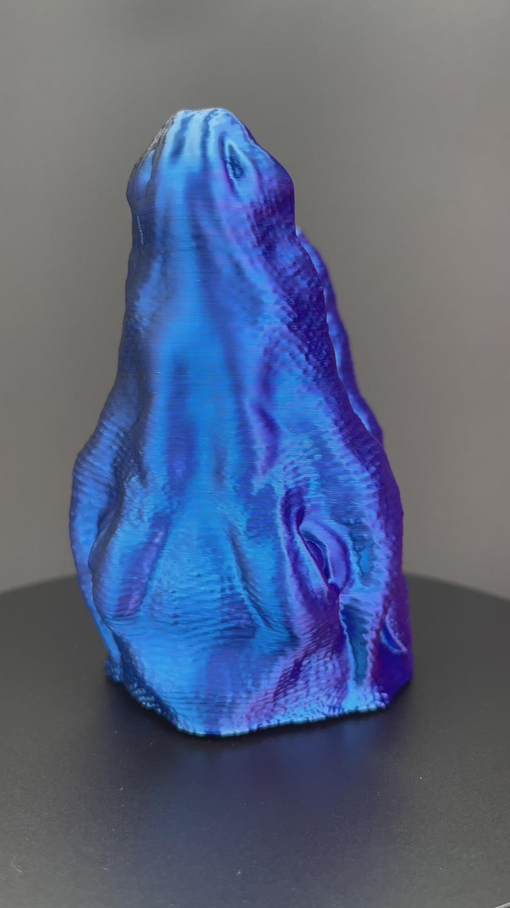 Bobine filament 3D PLA Silk Tricolor Black/Blue/Purple 1kg pour imprimante 1.75mm